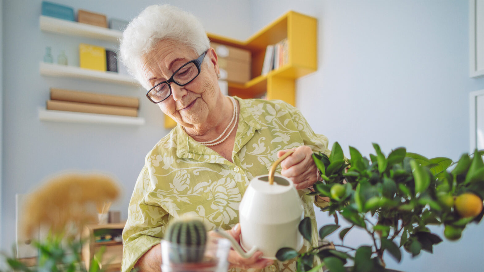 Senior woman watering her cactus and succulents