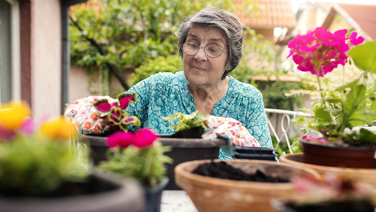 Senior woman working in her patio and garden with a plants. Hobbies and leisure