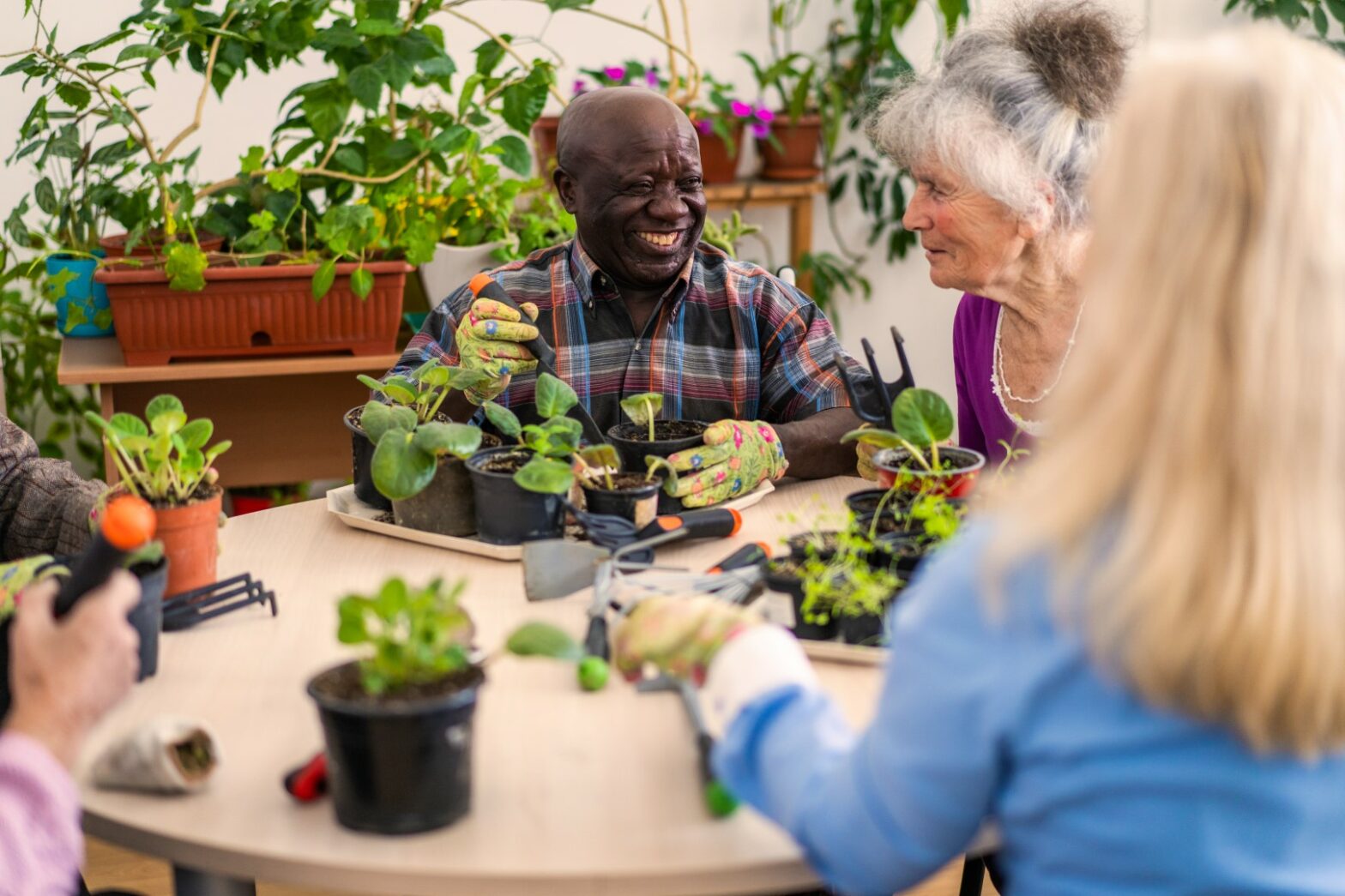 Seniors potting their plants at a senior community activity