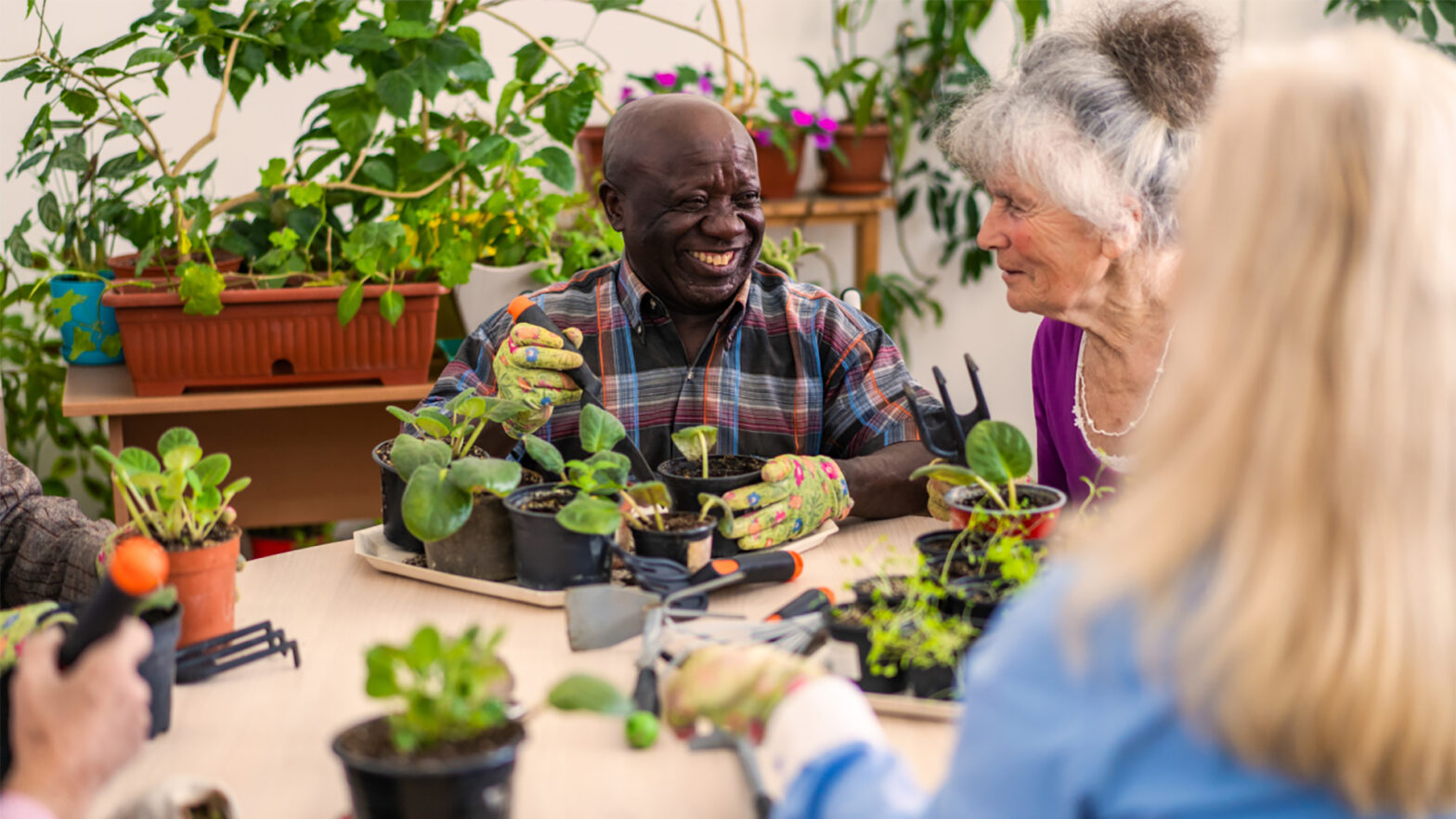 Group of senior living residents gardening